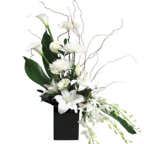 Arrangement AC-703